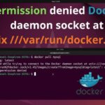 Docker Permissions Fix